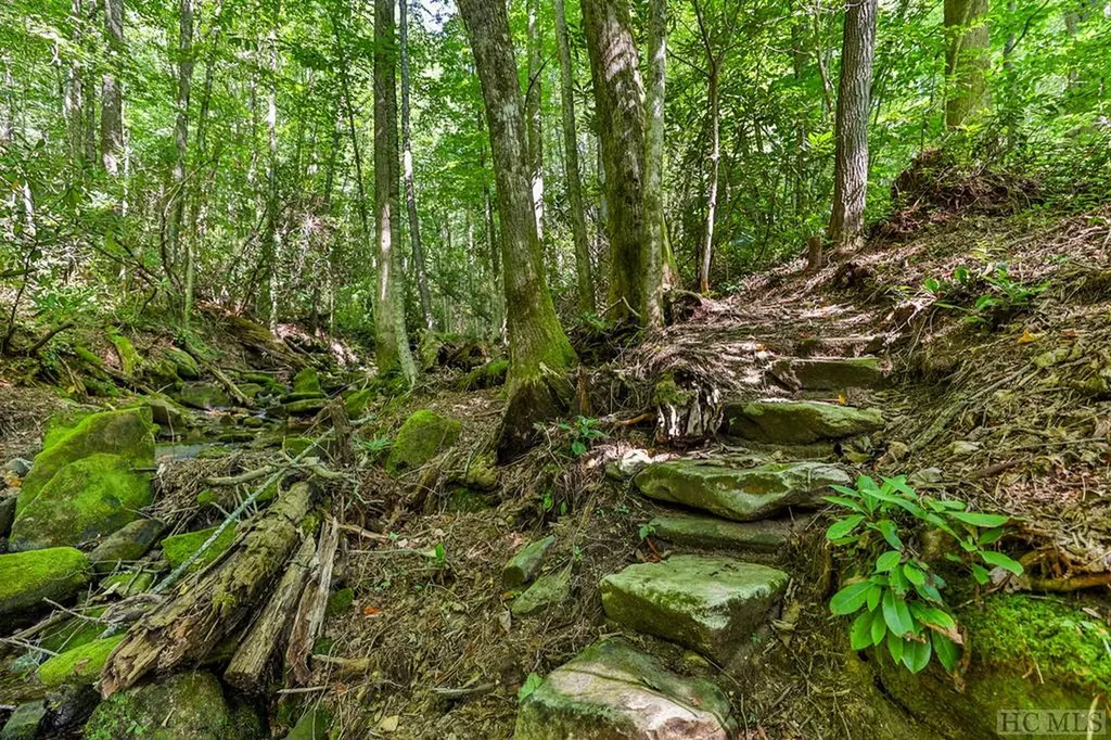 619 Speckled Feather Pass Sapphire NC 28774