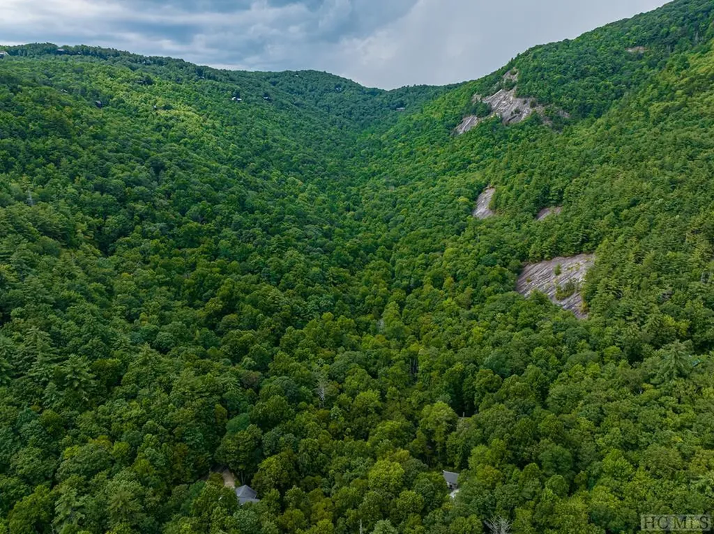 619 Speckled Feather Pass Sapphire NC 28774