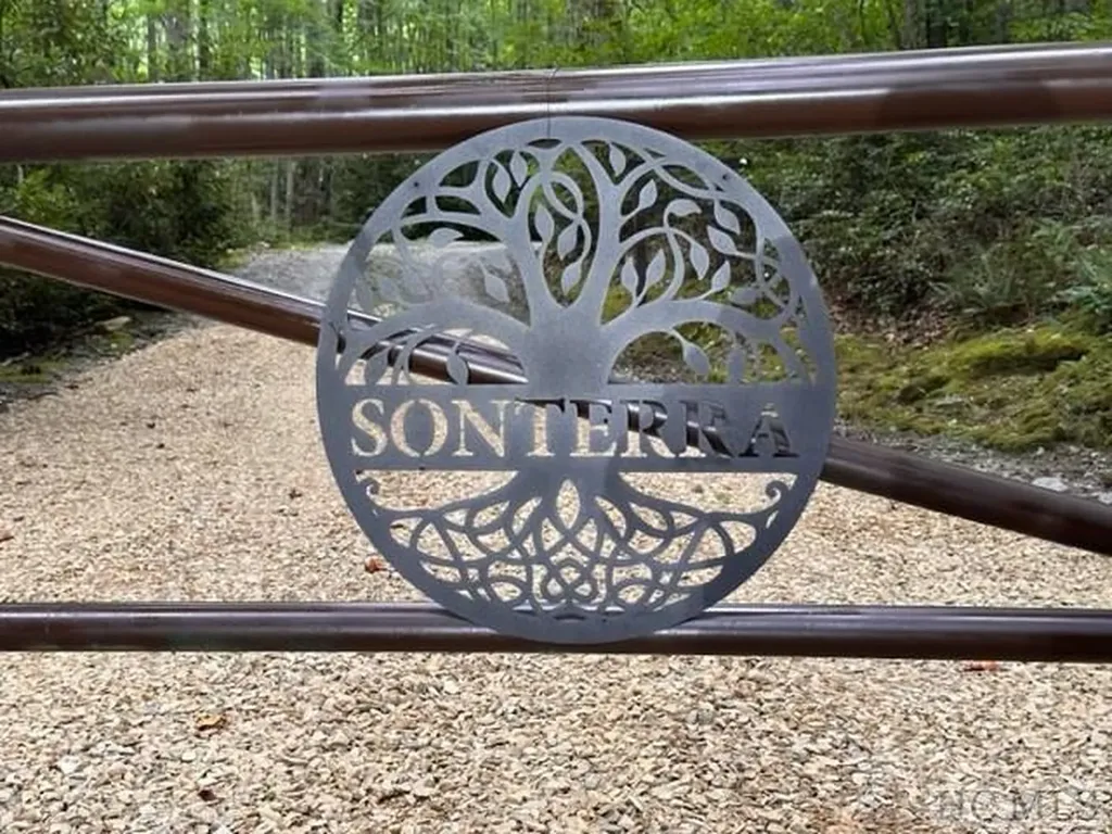 619 Speckled Feather Pass Sapphire NC 28774