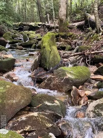 619 Speckled Feather Pass Sapphire NC 28774