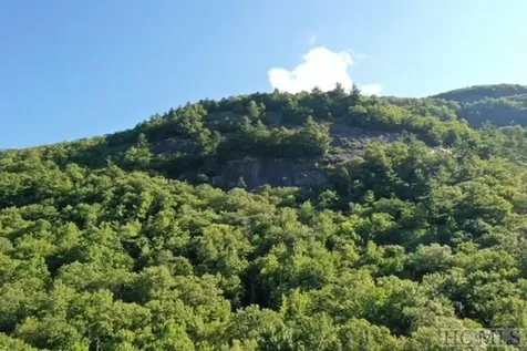 619 Speckled Feather Pass Sapphire NC 28774