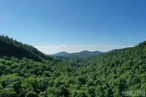 619 Speckled Feather Pass Sapphire NC 28774