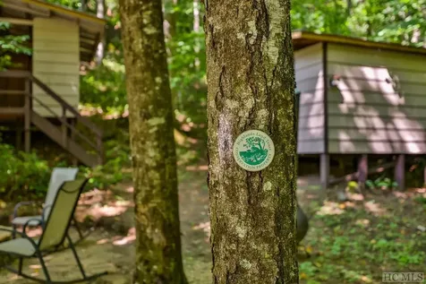 619 Speckled Feather Pass Sapphire NC 28774