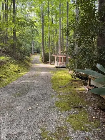 619 Speckled Feather Pass Sapphire NC 28774