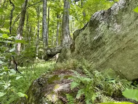 619 Speckled Feather Pass Sapphire NC 28774