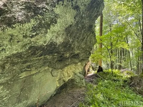 619 Speckled Feather Pass Sapphire NC 28774