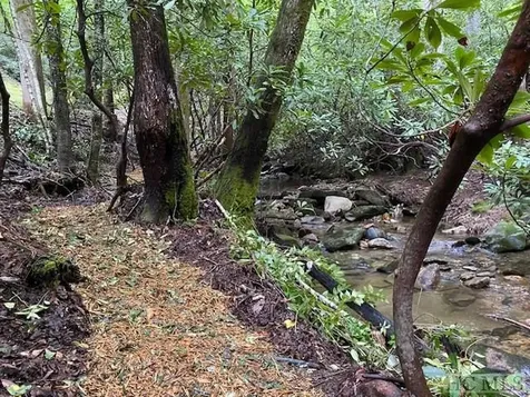 619 Speckled Feather Pass Sapphire NC 28774