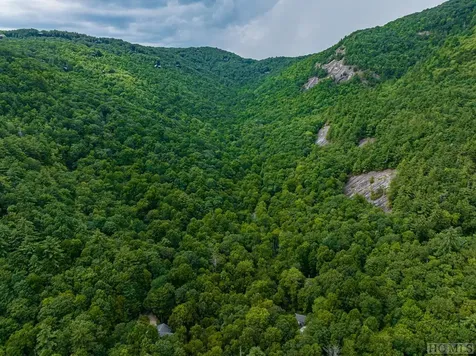 619 Speckled Feather Pass Sapphire NC 28774