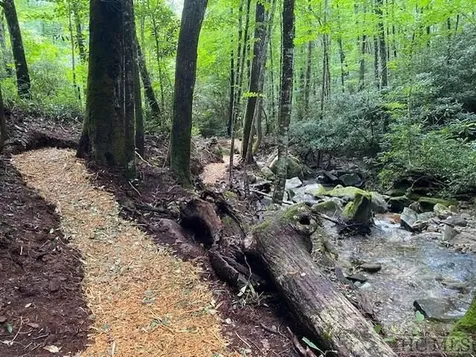 619 Speckled Feather Pass Sapphire NC 28774