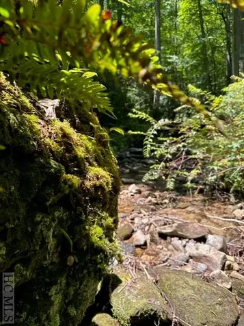 619 Speckled Feather Pass Sapphire NC 28774