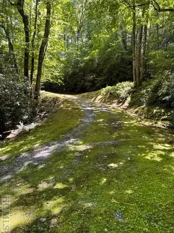 619 Speckled Feather Pass Sapphire NC 28774