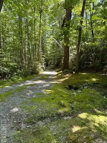 619 Speckled Feather Pass Sapphire NC 28774