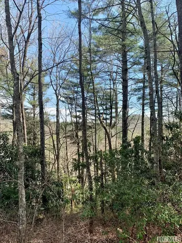 Lot 8 Heritage Drive Sapphire NC 28774