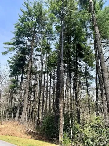 Lot 8 Heritage Drive Sapphire NC 28774