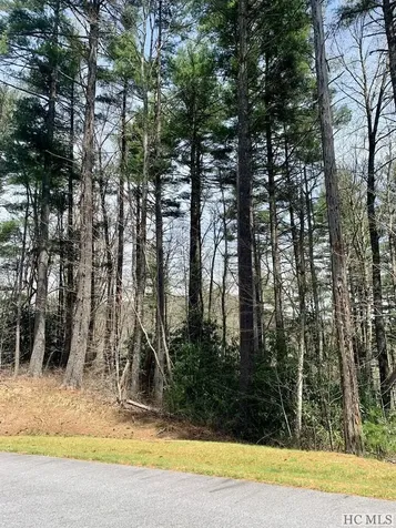Lot 8 Heritage Drive Sapphire NC 28774