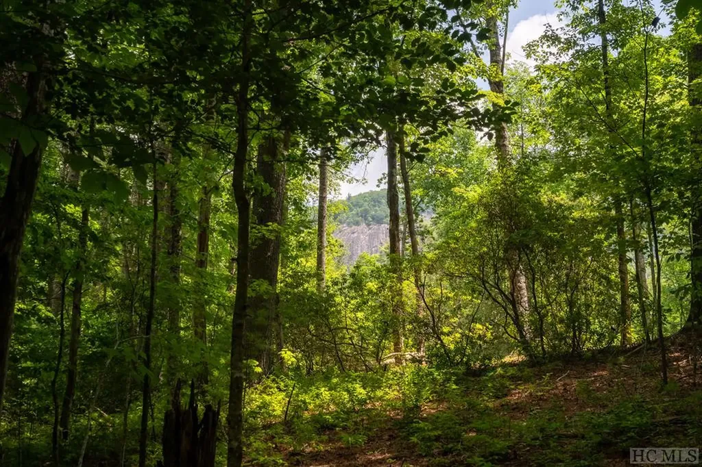 Lot 172 Lonesome Valley Sapphire NC 28774