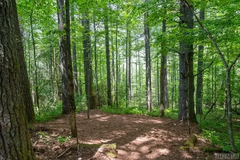 Lot 172 Lonesome Valley Sapphire NC 28774