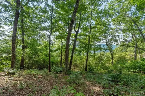 Lot P5 Springwater Road Glenville NC 28736