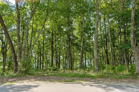 Lot P5 Springwater Road Glenville NC 28736