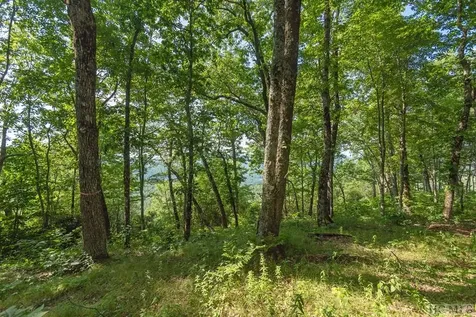 Lot P5 Springwater Road Glenville NC 28736