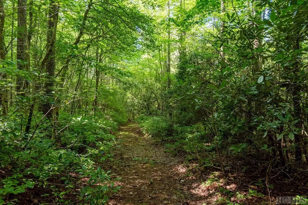 Tract A Mccall Road Cashiers NC 28717