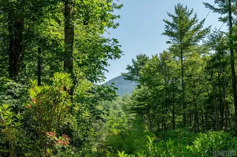Tract A Mccall Road Cashiers NC 28717