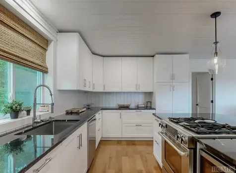 230 Raven Ridge Road Scaly Mountain NC 28775