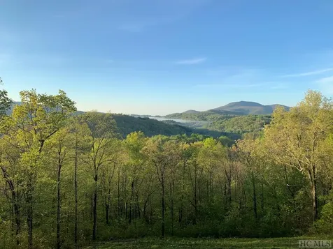 230 Raven Ridge Road Scaly Mountain NC 28775