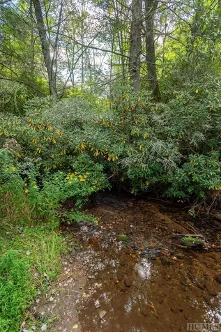 0 North Norton Road Cullowhee NC 28723