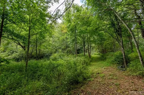 0 North Norton Road Cullowhee NC 28723