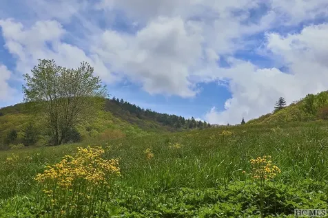 Ct-17 Steelhead Way Cashiers NC 28717