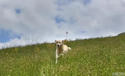 Ct-17 Steelhead Way Cashiers NC 28717