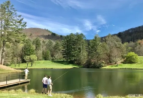 Ct-14 Steelhead Way Cashiers NC 28717