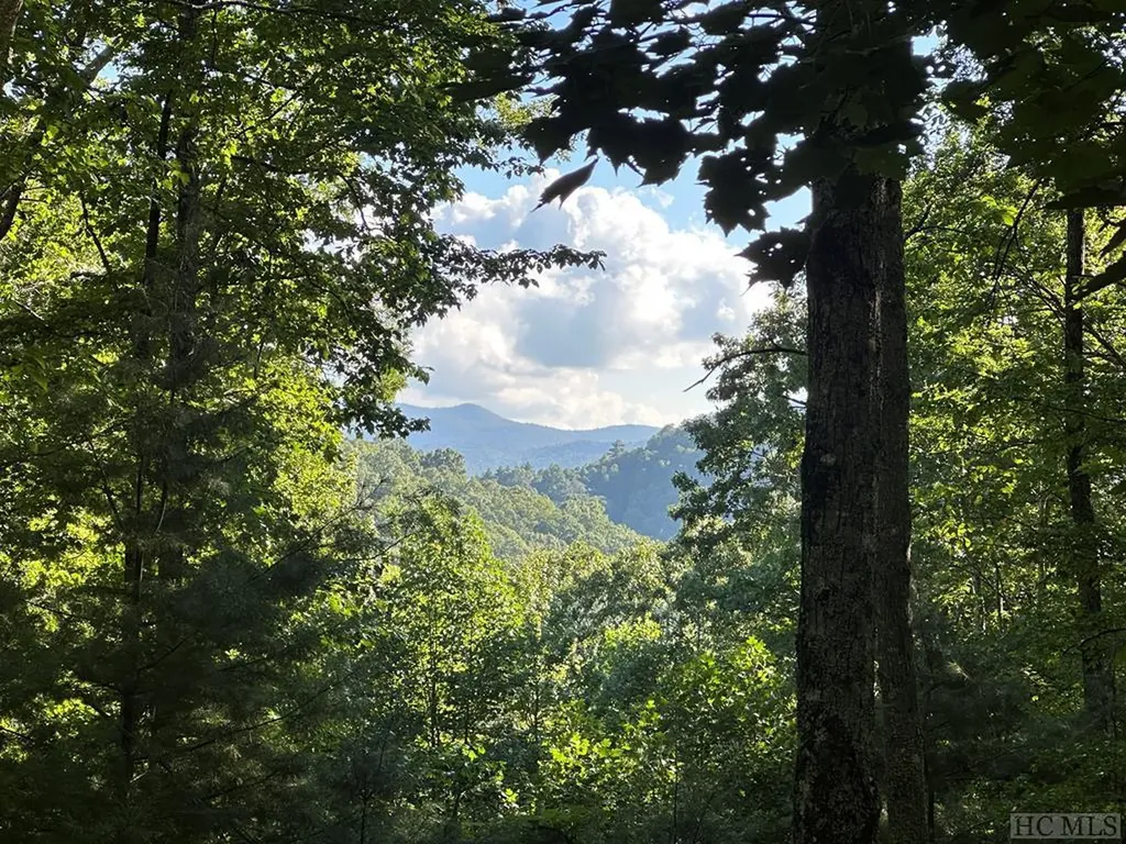 Lot 59 Beechfern Drive Glenville NC 28736