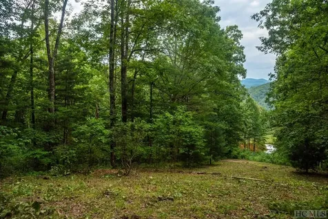 Lot 59 Beechfern Drive Glenville NC 28736