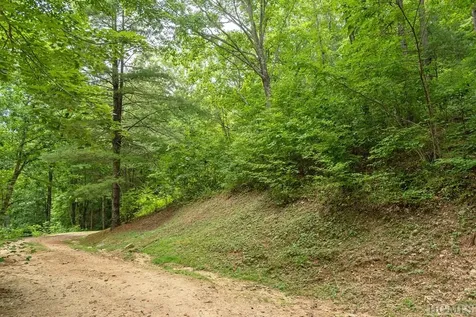 Lot 59 Beechfern Drive Glenville NC 28736