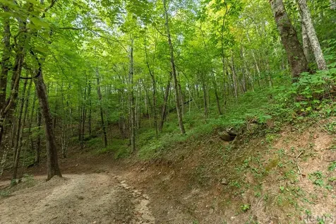 Lot 59 Beechfern Drive Glenville NC 28736