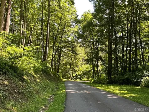 Lot 59 Beechfern Drive Glenville NC 28736