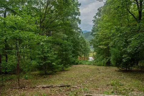 Lot 59 Beechfern Drive Glenville NC 28736