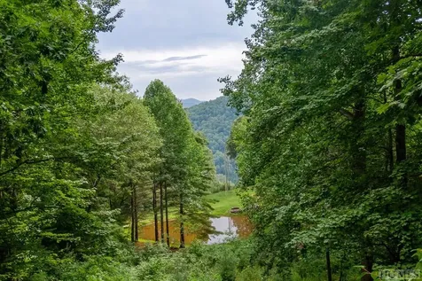 Lot 59 Beechfern Drive Glenville NC 28736