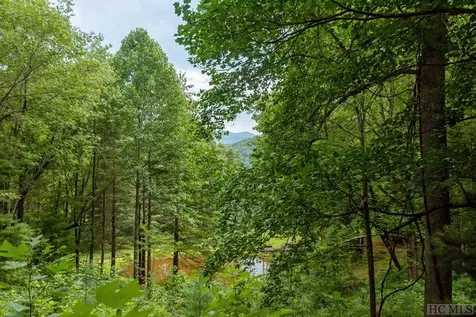 Lot 59 Beechfern Drive Glenville NC 28736