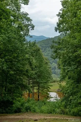 Lot 59 Beechfern Drive Glenville NC 28736