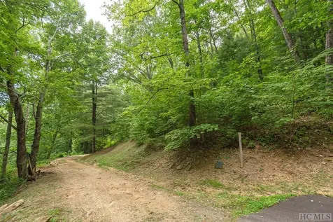 Lot 59 Beechfern Drive Glenville NC 28736