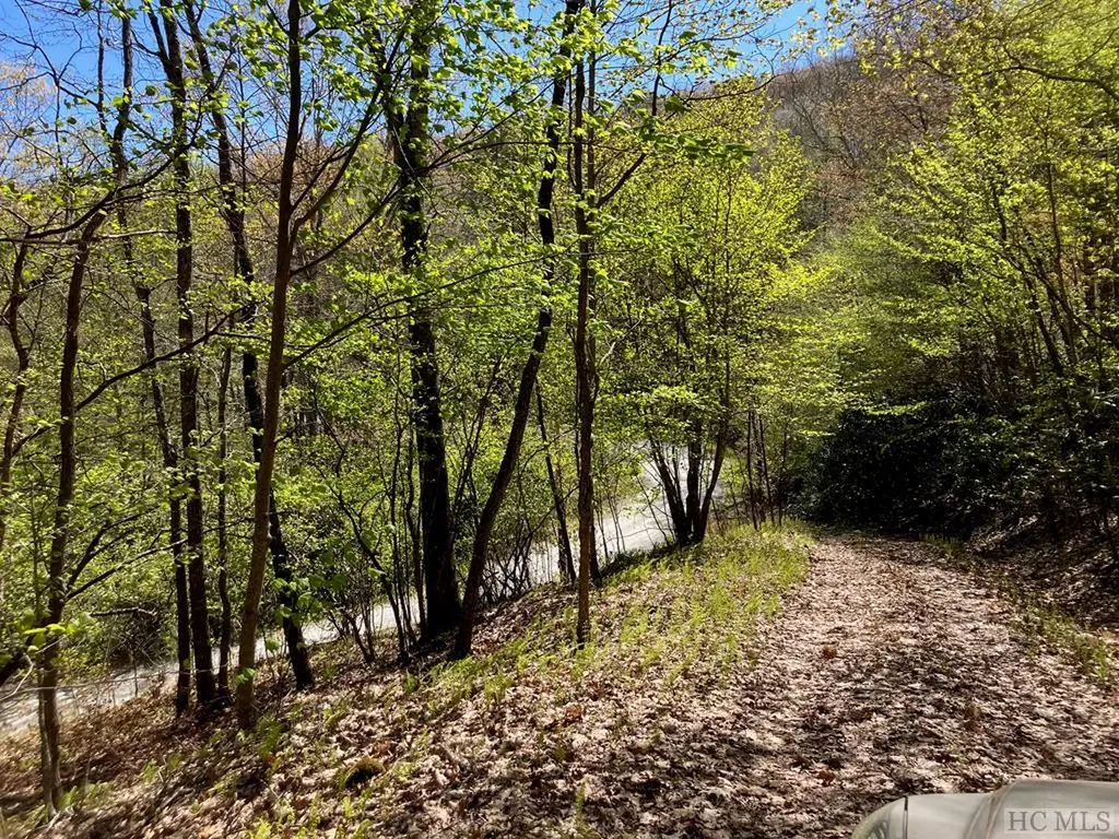 Lot 69 Rye Mountain Drive Glenville NC 28736