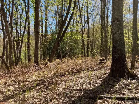 Lot 68 Rye Mountain Drive Glenville NC 28736