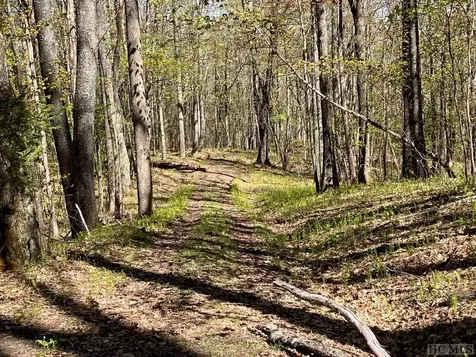 Lot 68 Rye Mountain Drive Glenville NC 28736