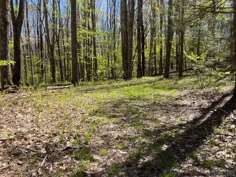 Lot 68 Rye Mountain Drive Glenville NC 28736