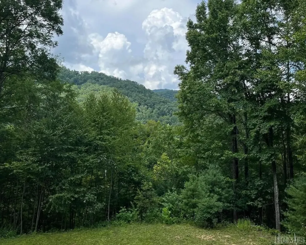 431 River Ridge Parkway Tuckasegee NC 28783