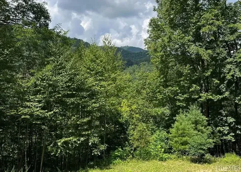 431 River Ridge Tuckasegee NC 28783