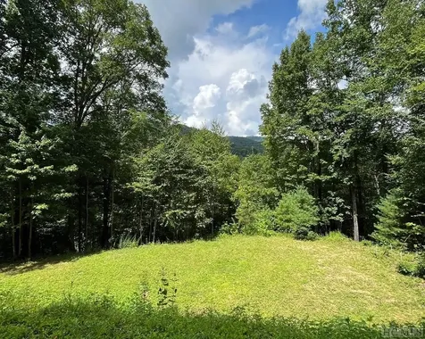 431 River Ridge Tuckasegee NC 28783